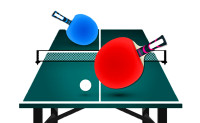 Table Tennis Pro